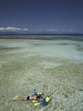 Snorkelers  Green Island  Great Barrier Reef Marine Park  North Queensland  Australia