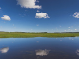 Alexander Pushkin Preserve  Pushkinskie Gory  Pskovskaya Oblast  Russia
