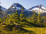 Mountain Landscape  Alaska  USA