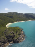 Turtle Bay  Near Cairns  North Queensland  Australia