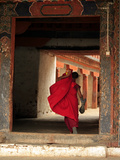 Monk at Wandu Phodrang Dzong  Wangdue  Bhutan