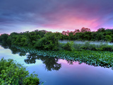 Silver Lake Nature Center  Philadelphia  Pennsylvania  USA
