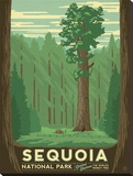 Sequoia National Park