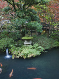 Japanese Garden  Tokyo  Japan