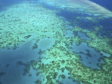 Aerial View of the Great Barrier Reef  Queensland  Australia