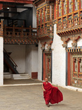 Monk at Punakha Dzong  Punakha  Bhutan