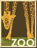Zoo Giraffe