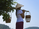 Tribal Girl with Conical Hat  Vietnam