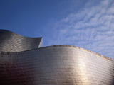 Spider Sculpture  the Guggenheim Museum  Bilbao  Spain