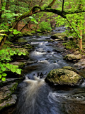 Dingmans Ferry  Philadelphia  Pennsylvania  USA