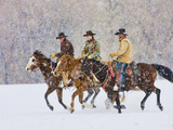 Cowboy Riding Horse  Shell  Wyoming  USA