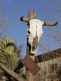 Route 66  Hackberry  Arizona  USA