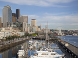 The Seattle Great Wheel  Seattle  Washington  USA