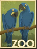 Zoo Maccaw