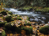 Autumn on the Salmon River  Welches  Oregon  USA