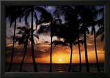 Relax: Palm Trees