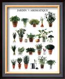 Aromatic Garden