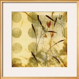 Playful Meadow II