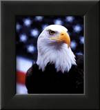 Courage: Eagle and Flag
