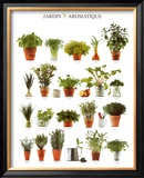 Aromatic Garden