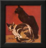 Cats  1910