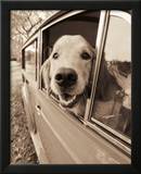 Are We There Yet