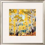 September Aspen
