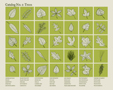 Catalog 1 - Trees
