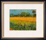 View of Arles with Irises