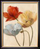 Poppy Palette II