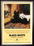 Black and White Scotch