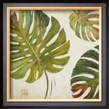 Organic I