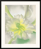 An Orchid  c1942