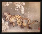 Old Tiger in the Snow