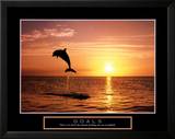 Goals: Dolphins