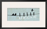 Birds on a Wire - Dream