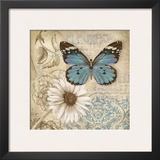 Butterfly Garden II
