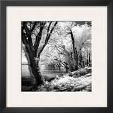 Spring on the River Square II