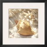 Coral Shell IV