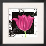 Damask Tulip IV
