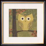 Forest Owl