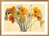 Pumpkin Poppies I