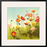 Meadow Suite I