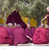 Tibetan Buddhist Monks Debating in Sera Monastery in Lhasa  Tibet  China  Asia