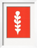 Palme Blanche Sur Fond Rouge  c1947