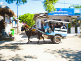 Cidomo  a Horse and Cart on Gili Trawangan  Gili Islands  Indonesia  Southeast Asia  Asia
