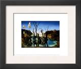 Swans Reflecting Elephants  c1937