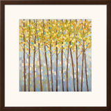 Glistening Tree Tops