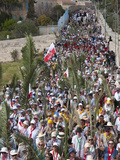 Palm Sunday Procession on Route from Betphage to Sainte Anne  Jerusalem  Israel  Middle East