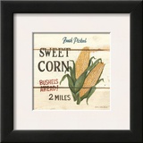 Fresh Picked Sweet Corn
